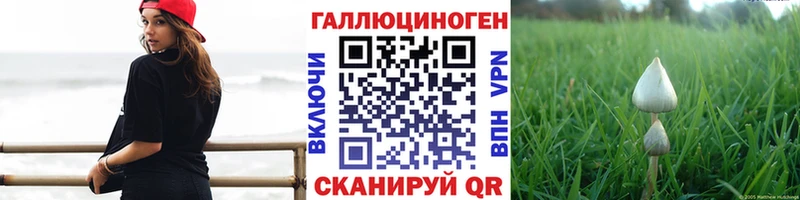 Галлюциногенные грибы Psilocybine cubensis  даркнет сайт  Черногорск 
