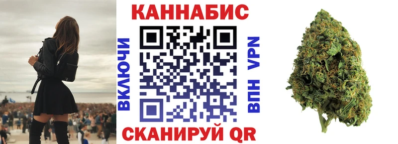 Бошки марихуана планчик  купить   Черногорск 